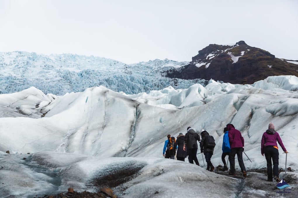 Glacier Hike Falljokull Iceland